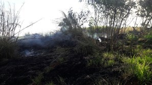 Bombeiros atendem mais de 40 incêndios ambientais em Maringá em setembro